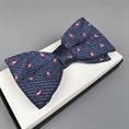 Shoes & Shirts Bow-tie paisley